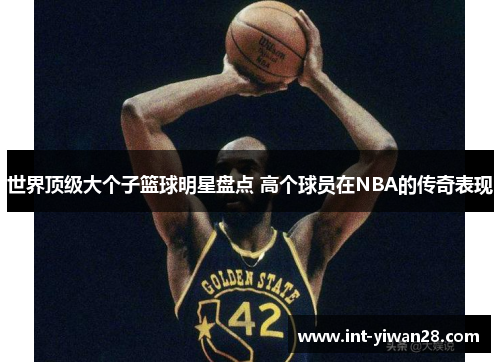 世界顶级大个子篮球明星盘点 高个球员在NBA的传奇表现